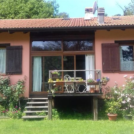 Il pettirosso di Giusvalla Esterno foto