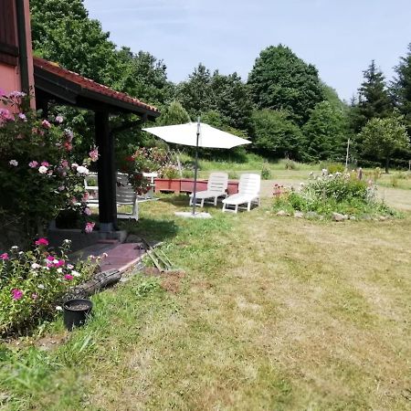 Il pettirosso di Giusvalla Esterno foto