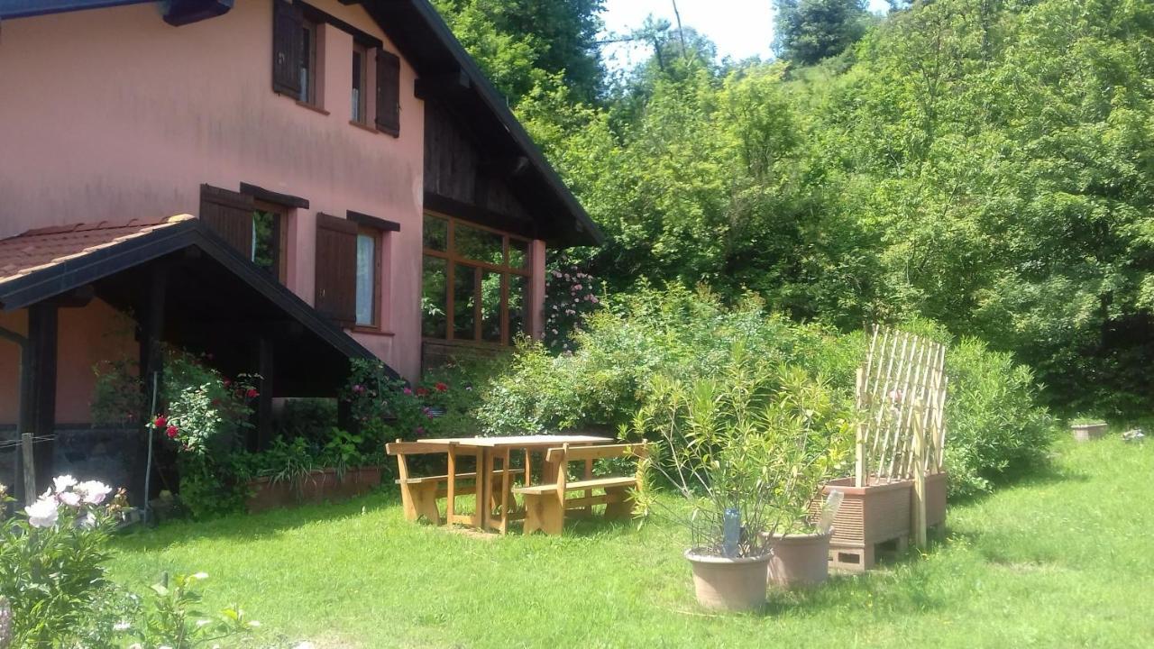 Il pettirosso di Giusvalla Esterno foto