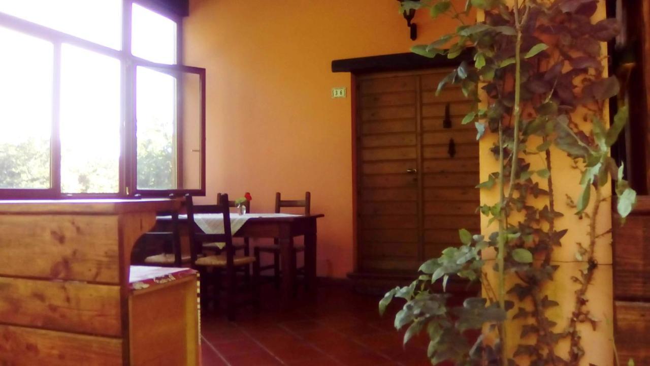 Il pettirosso di Giusvalla Esterno foto