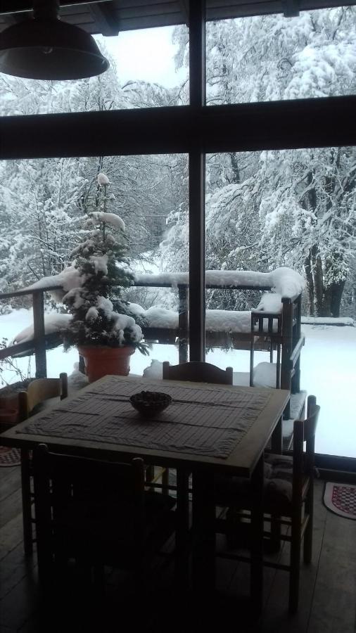 Il pettirosso di Giusvalla Esterno foto