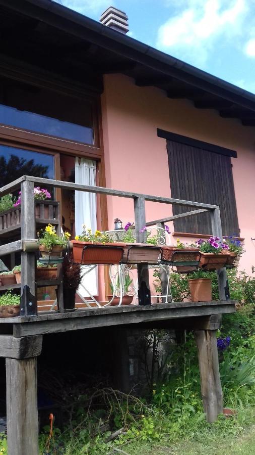 Il pettirosso di Giusvalla Esterno foto