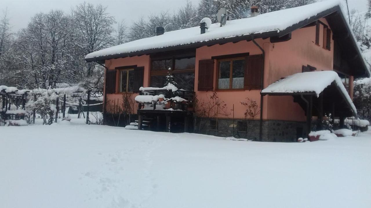 Il pettirosso di Giusvalla Esterno foto