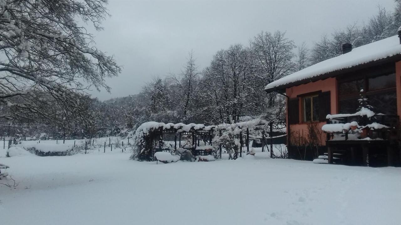 Il pettirosso di Giusvalla Esterno foto
