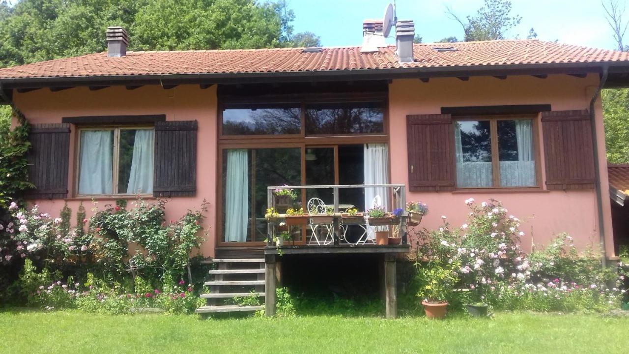 Il pettirosso di Giusvalla Esterno foto