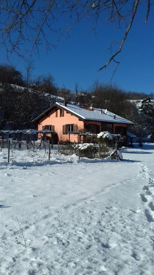 Il pettirosso di Giusvalla Esterno foto