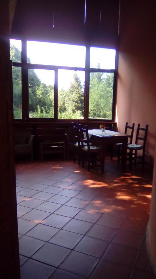 Il pettirosso di Giusvalla Esterno foto