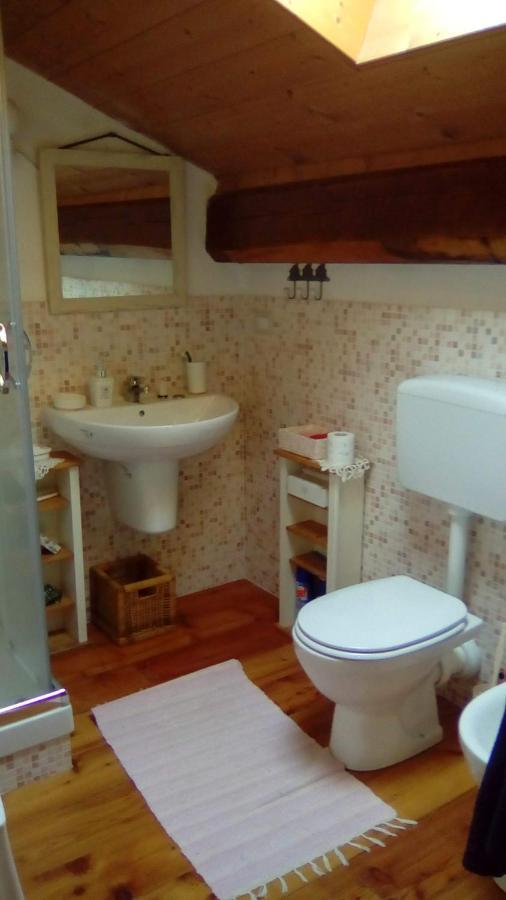 Il pettirosso di Giusvalla Esterno foto