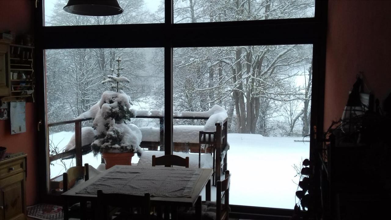 Il pettirosso di Giusvalla Esterno foto