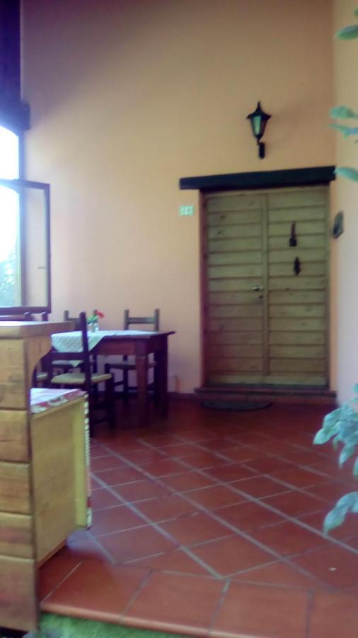 Il pettirosso di Giusvalla Esterno foto