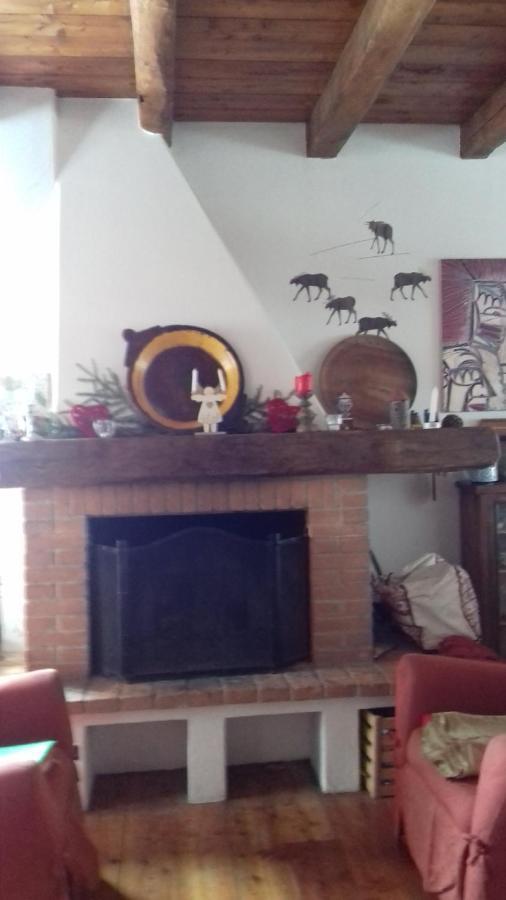 Il pettirosso di Giusvalla Esterno foto