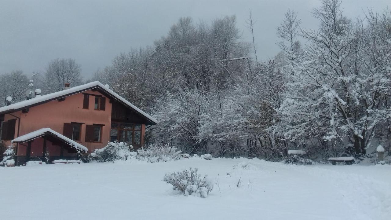 Il pettirosso di Giusvalla Esterno foto