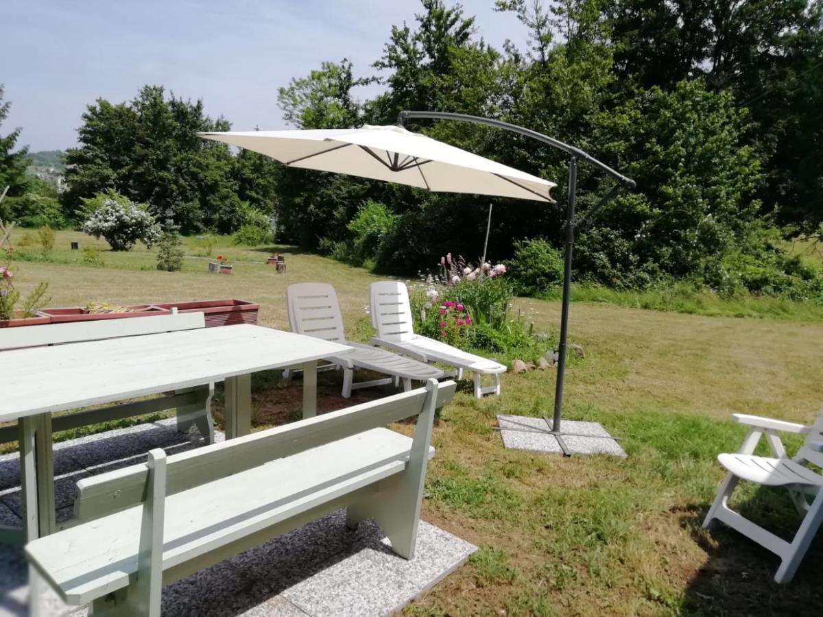 Il pettirosso di Giusvalla Esterno foto