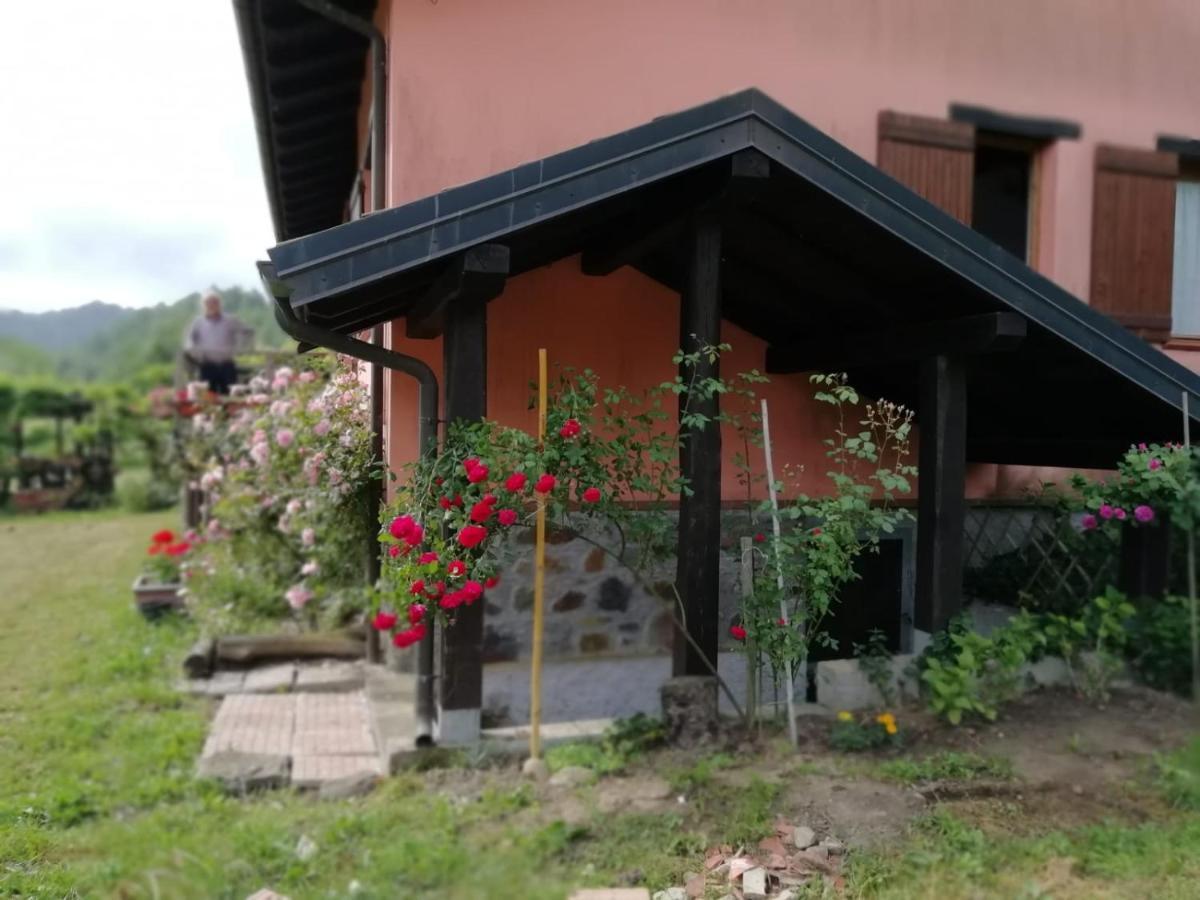 Il pettirosso di Giusvalla Esterno foto